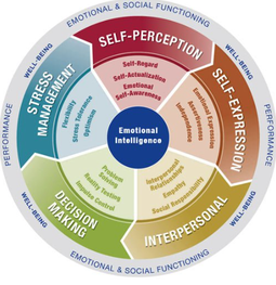 Emotional Intelligence for Leaders – EQ-i 2.0 model
