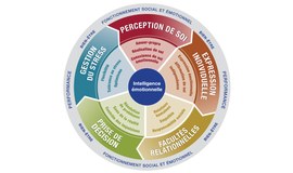 Emotional Intelligence for Leaders training